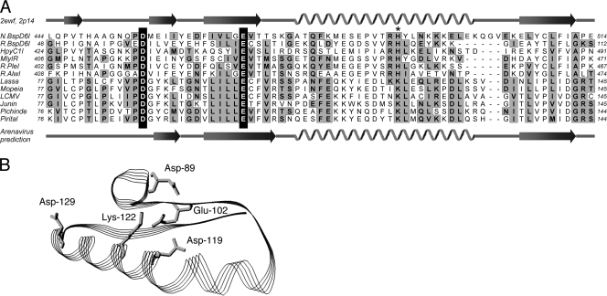 FIG. 8.