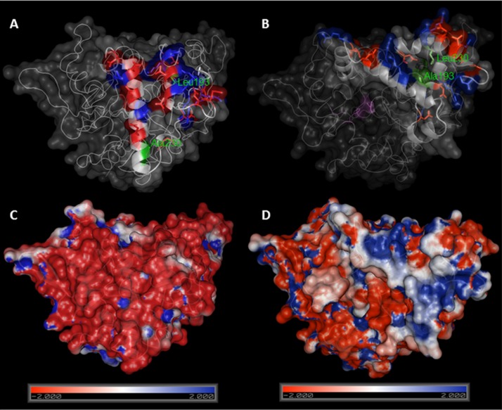 Figure 4