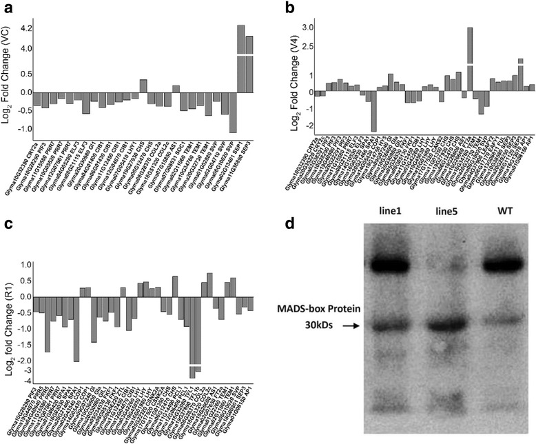 Fig. 9