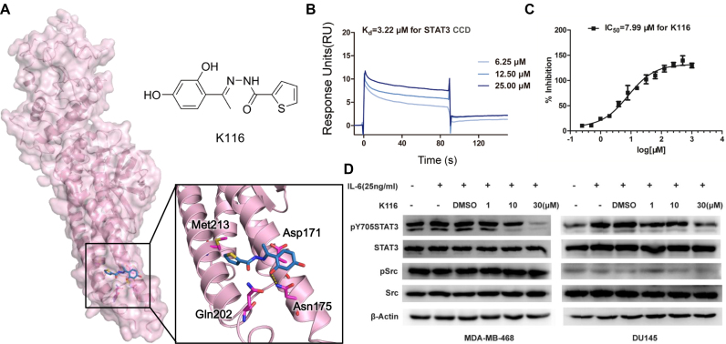 Figure 3.