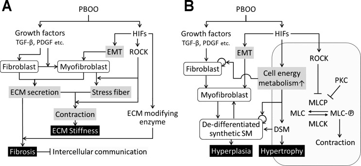 Fig. 9.