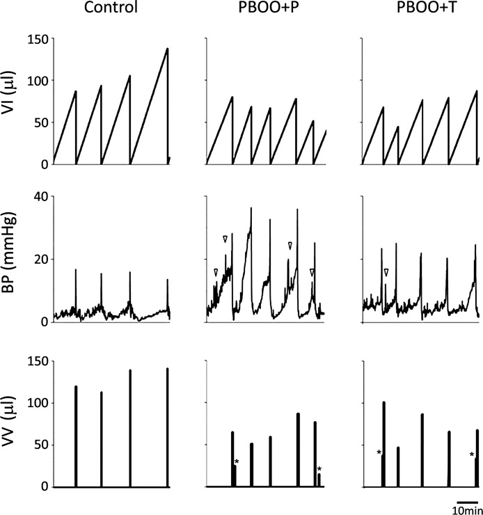 Fig. 8.