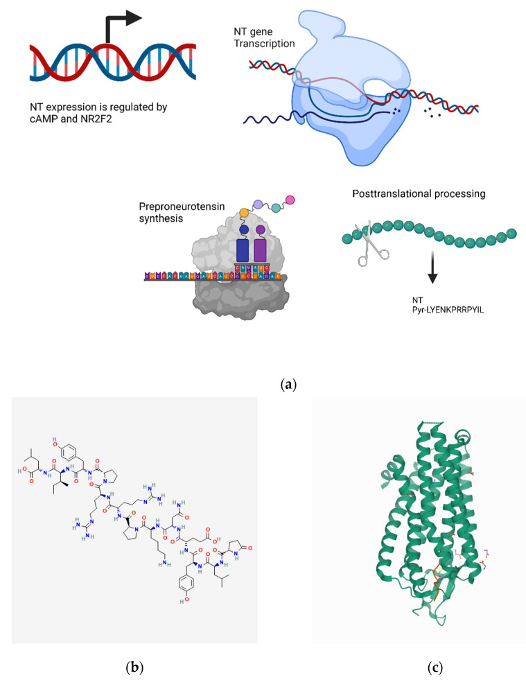 Figure 12