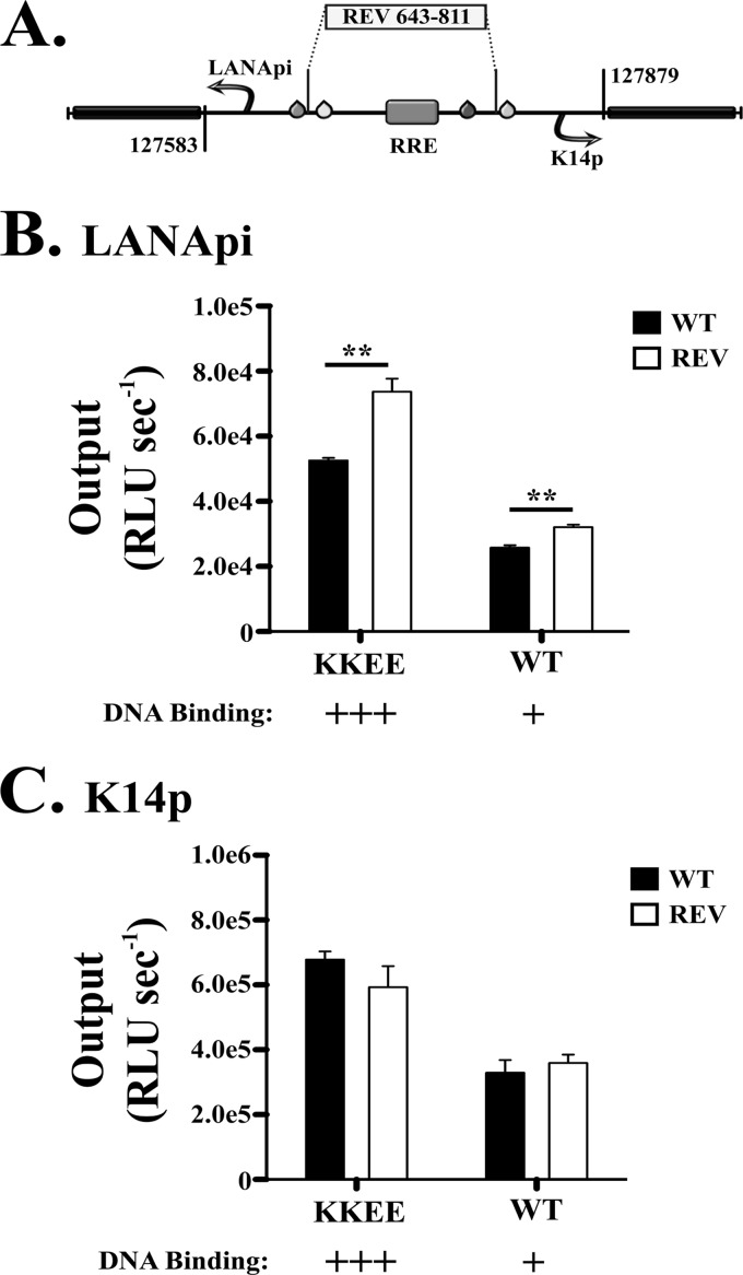 Fig 8