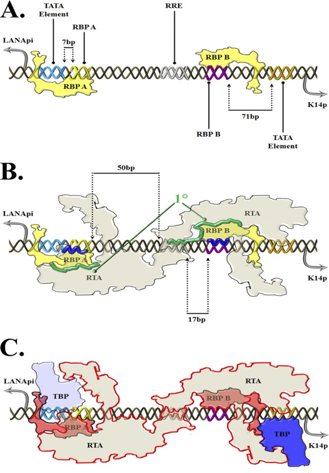 Fig 10