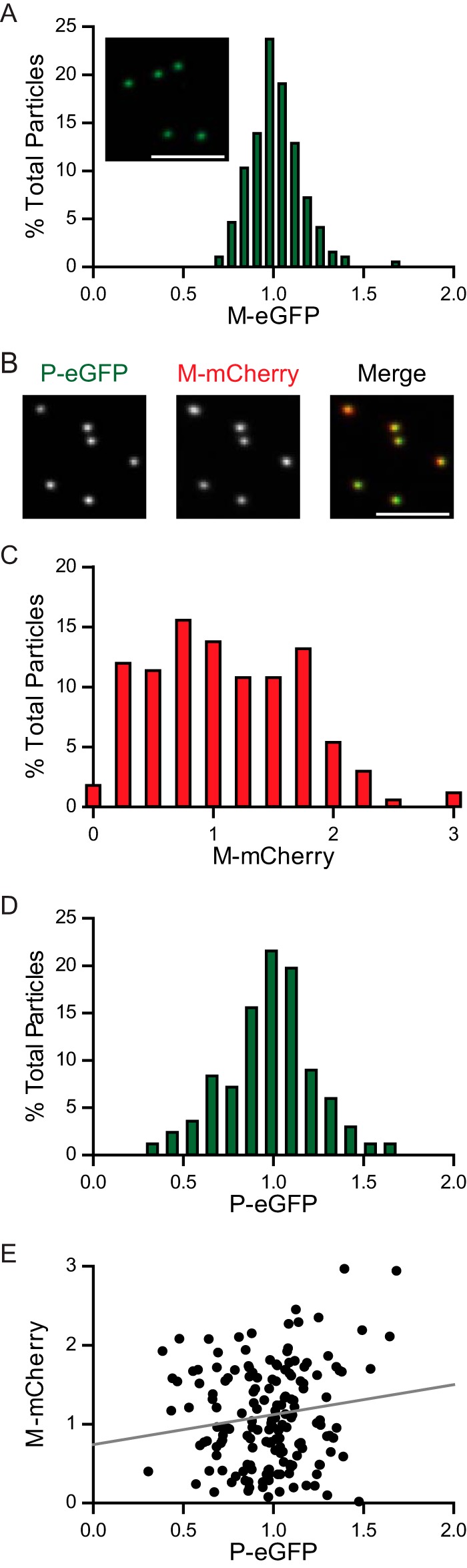 FIG 5