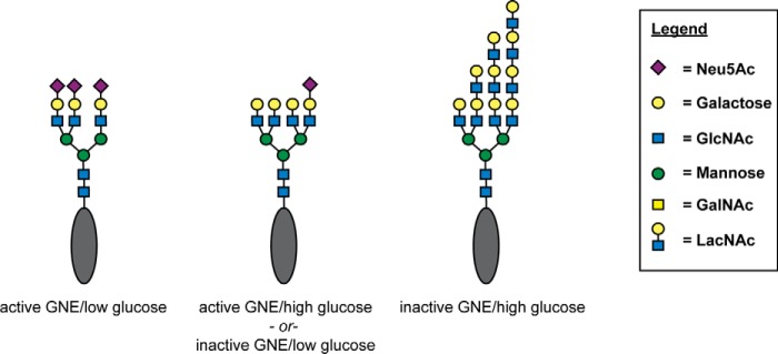 Figure 11.