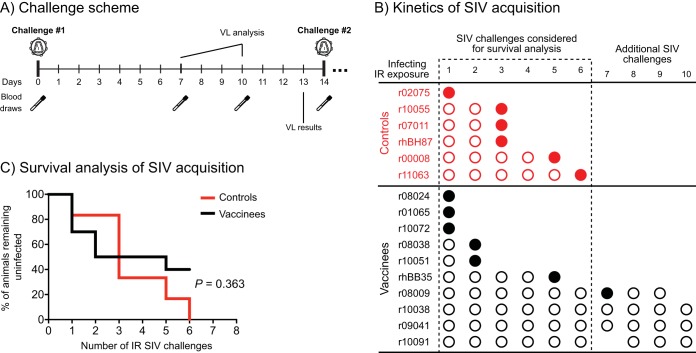 FIG 6