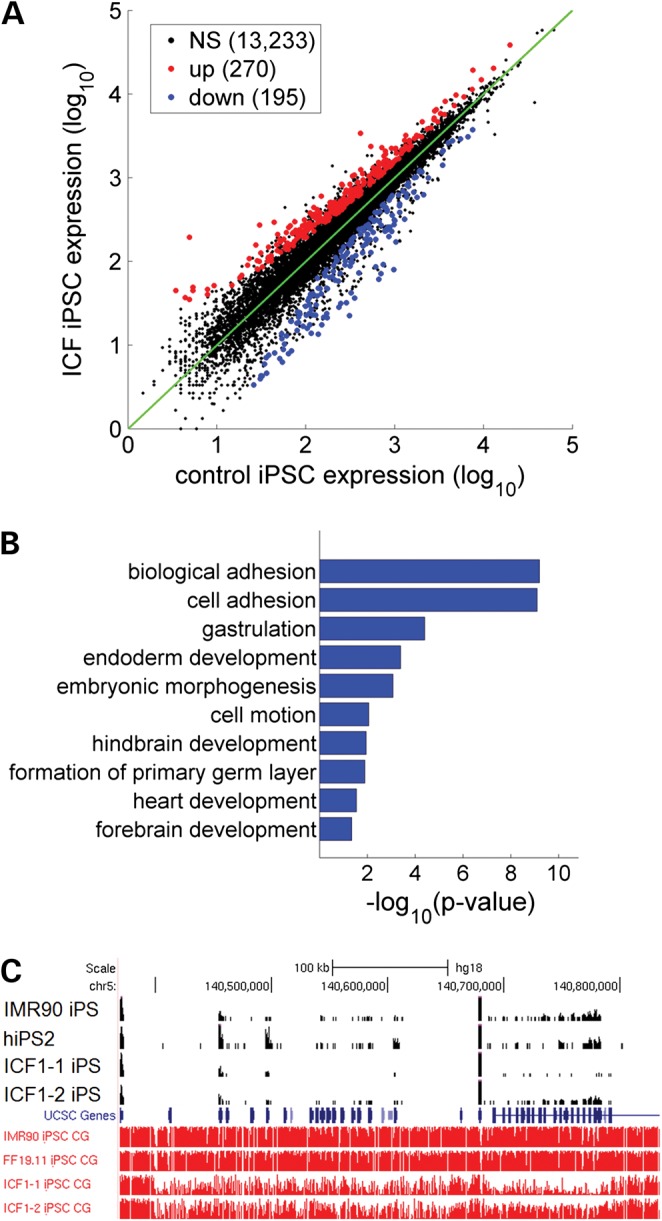 Figure 2.