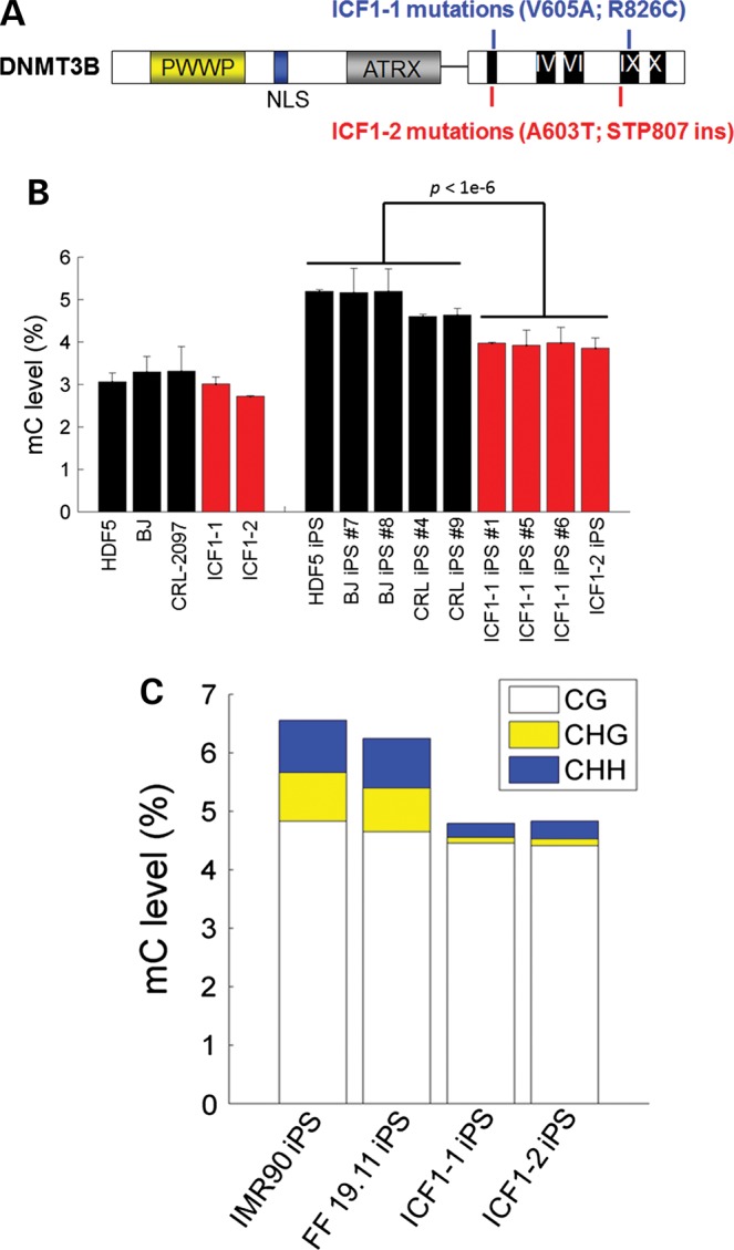 Figure 1.