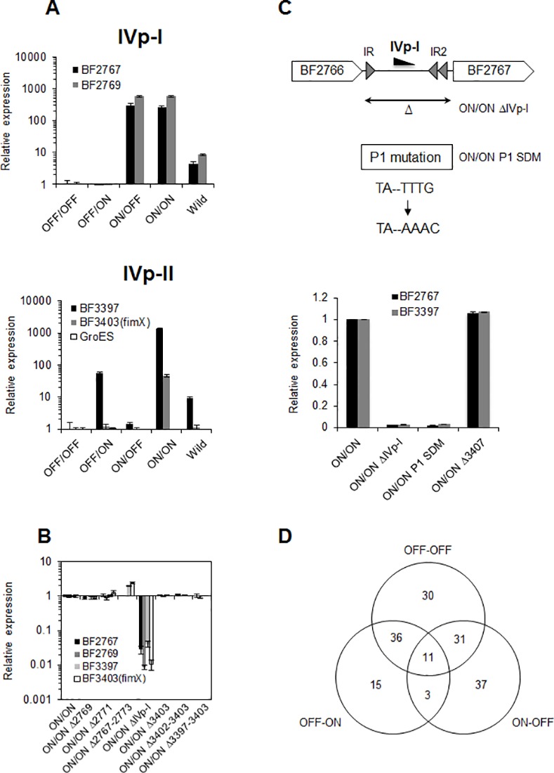 Fig 4