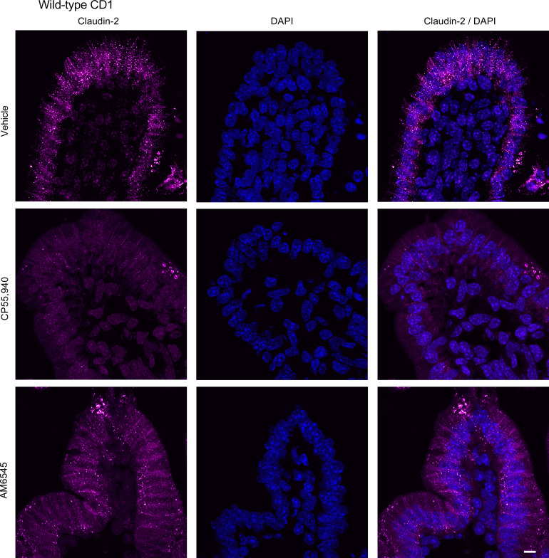 Figure 15.