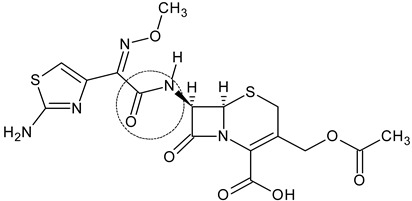 Inline graphic