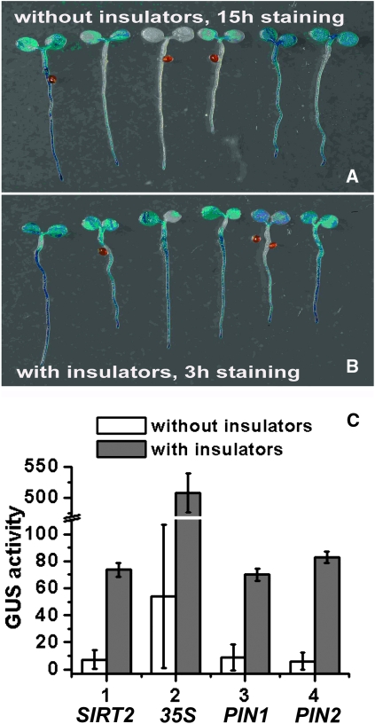 Figure 2.—