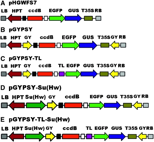 Figure 1.—