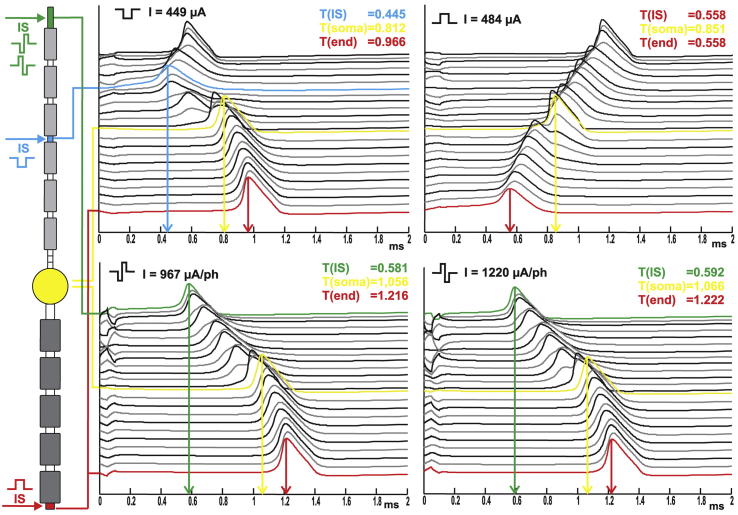 Fig. 6