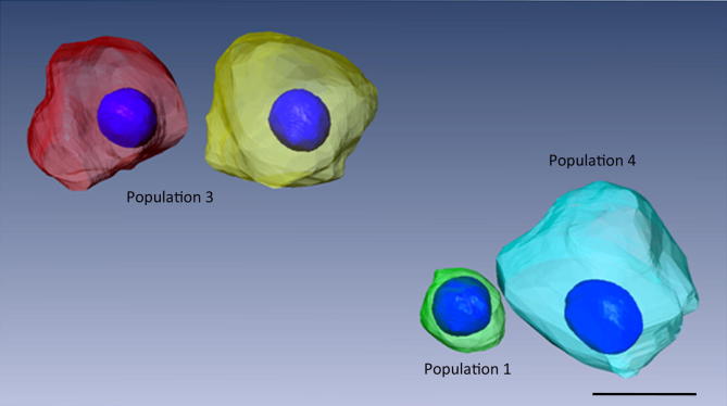 Fig. 5