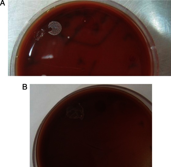 Figure 3