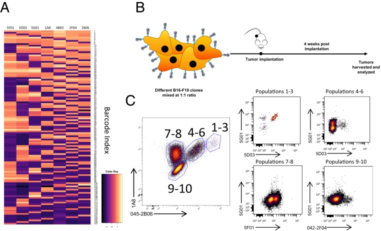 Fig. 3.