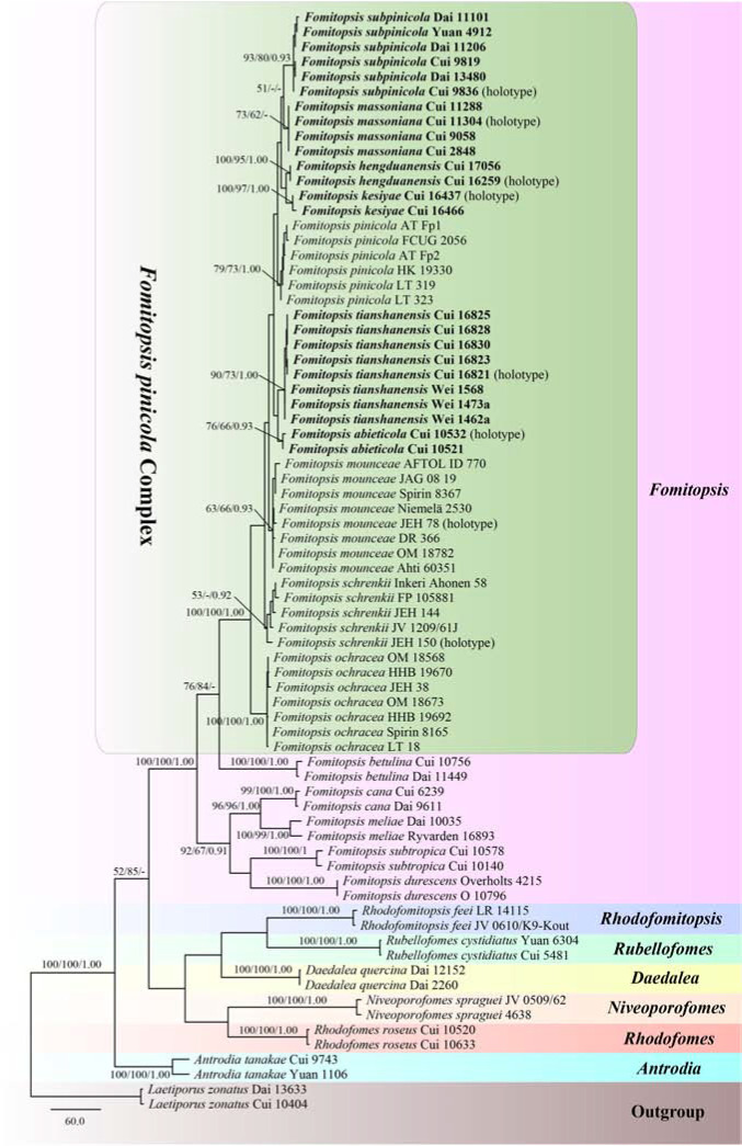 FIGURE 2