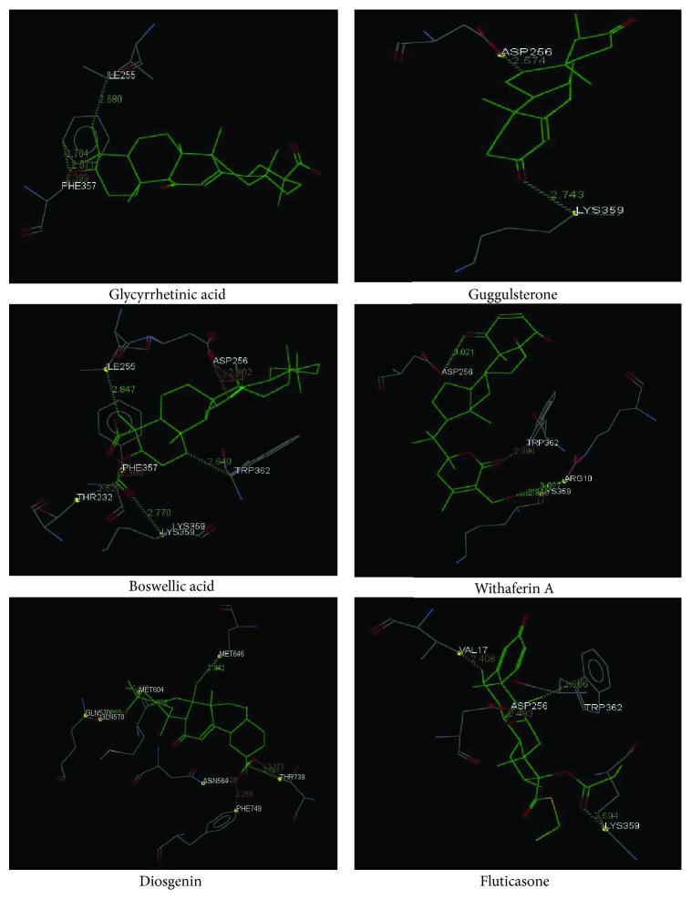 Figure 2