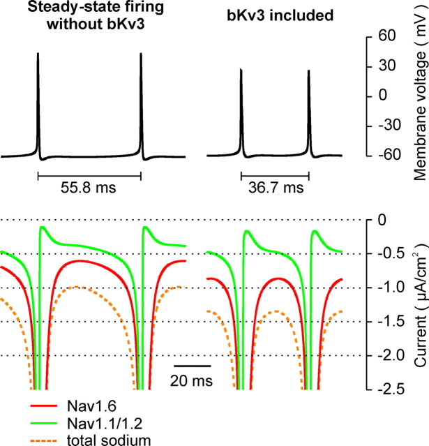 Figure 7.