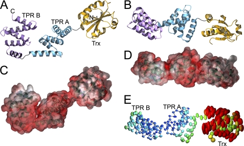 FIGURE 1.