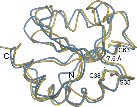 FIGURE 3.