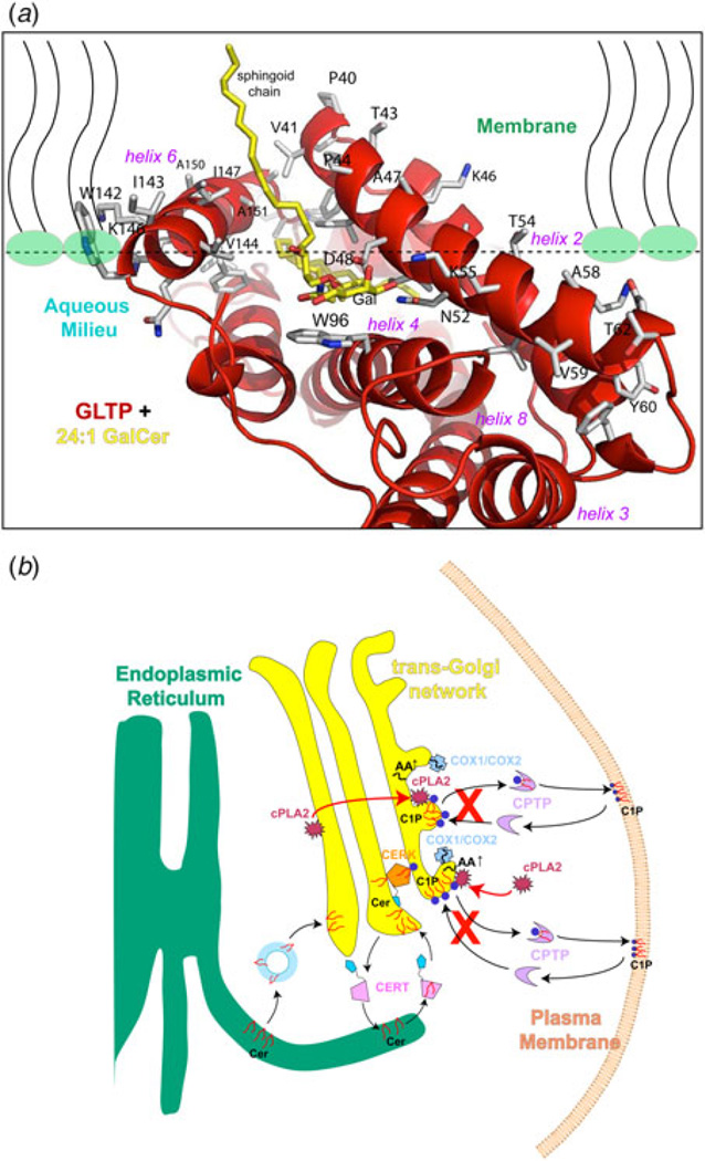 Fig. 9