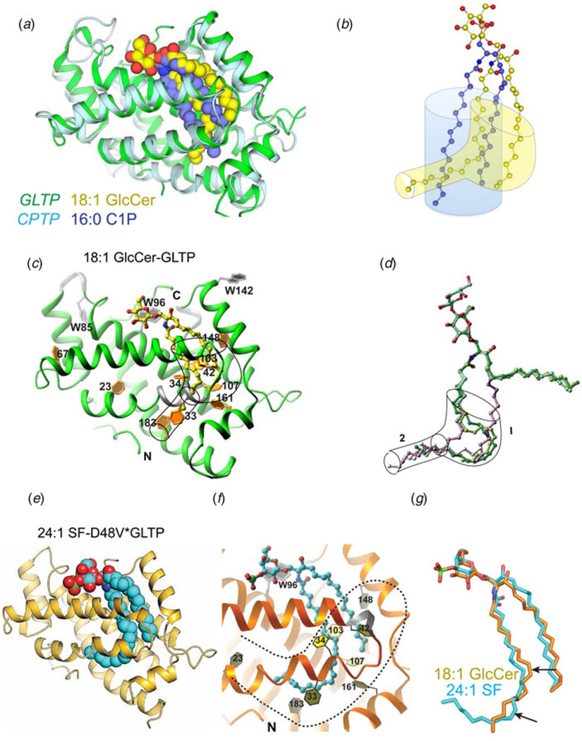 Fig. 6