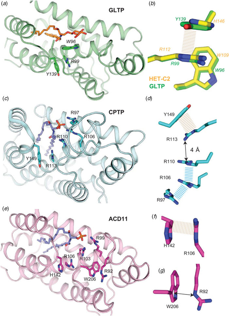 Fig. 8