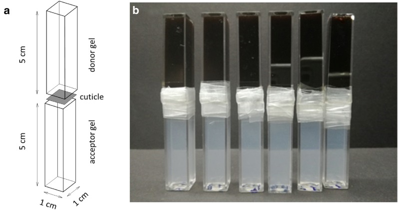 Fig. 2