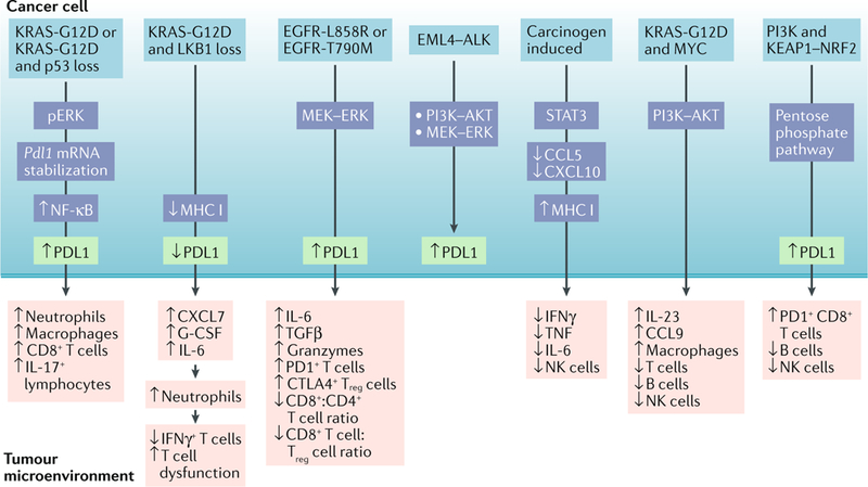 Fig. 3 |