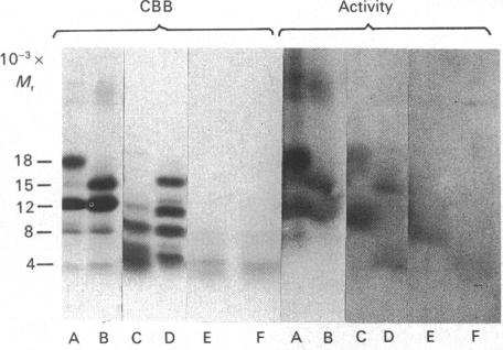 Fig. 9.