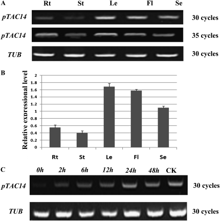 Figure 2.