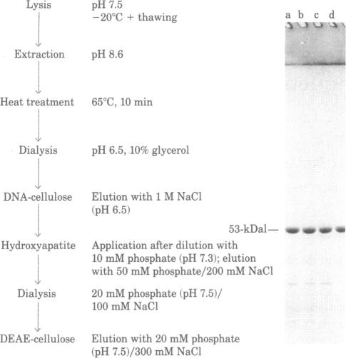 graphic file with name pnas00441-0088-a.jpg