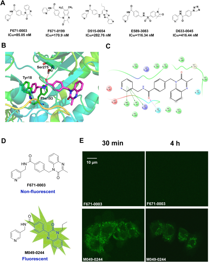 Figure 4