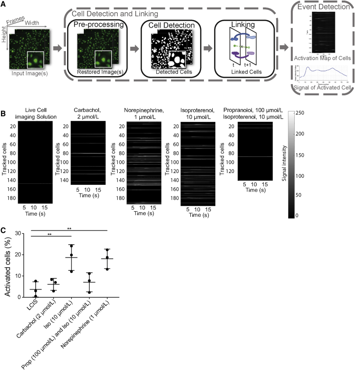 Figure 3