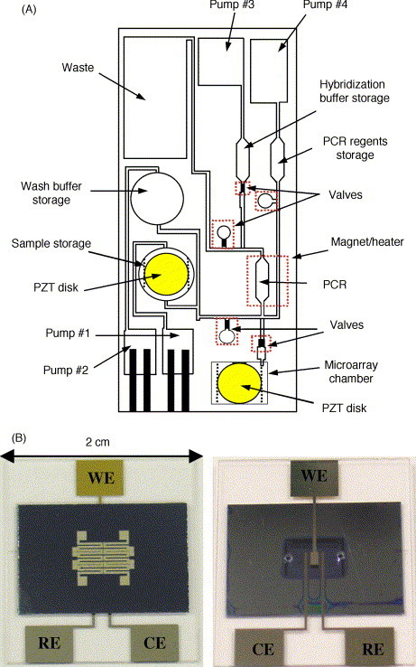 Fig. 5