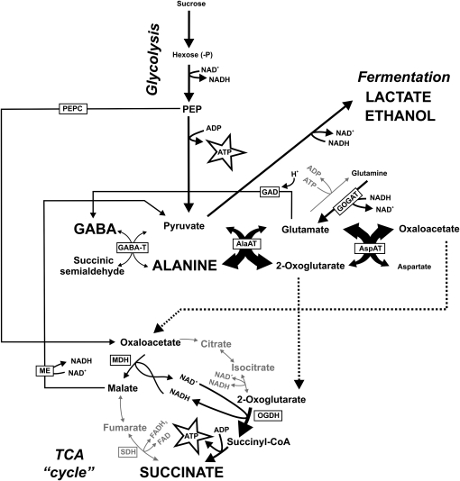 Figure 9.