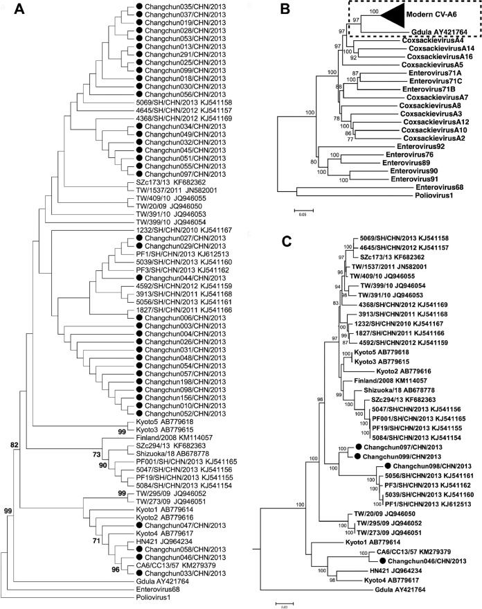 FIG 1