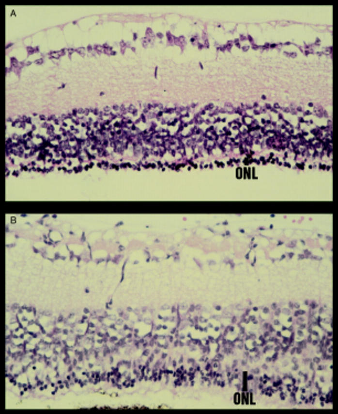 Figure 2  