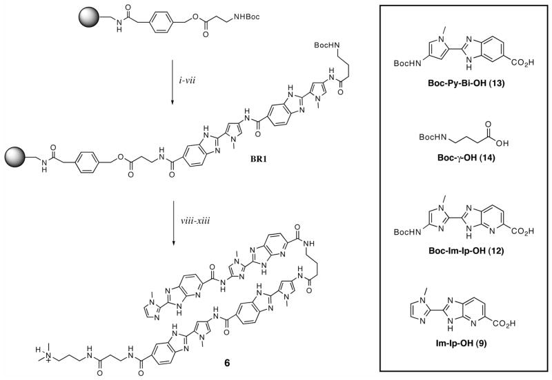 Scheme 2