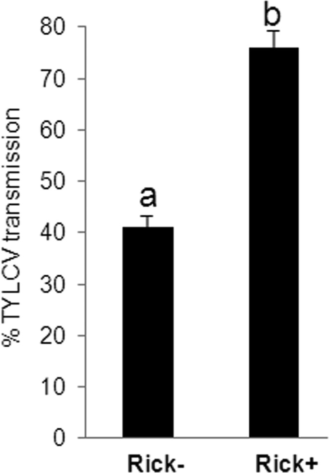 FIG 1