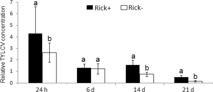 FIG 10