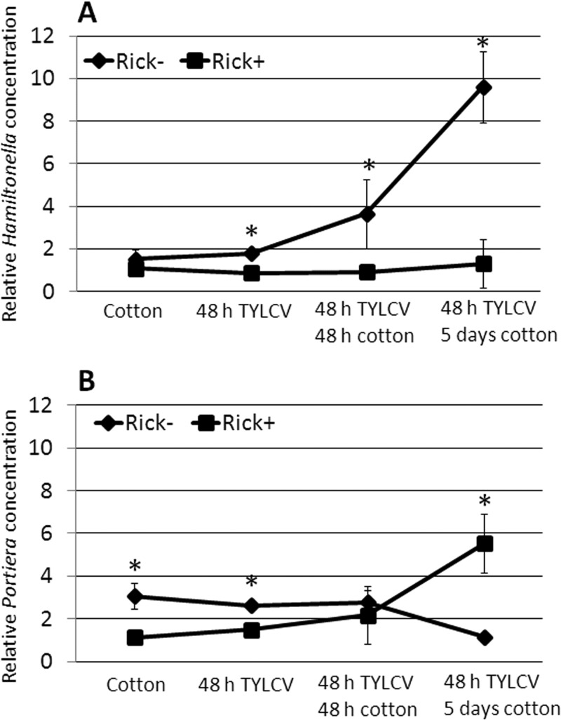 FIG 5