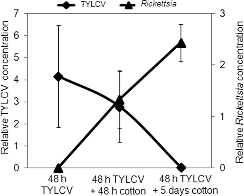 FIG 6