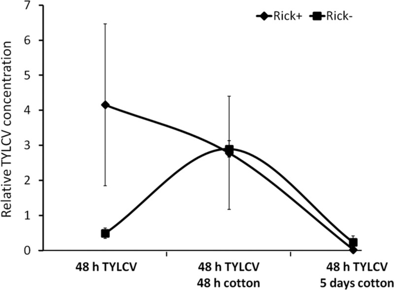 FIG 3