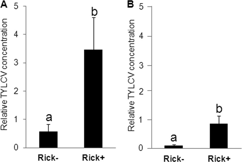 FIG 2