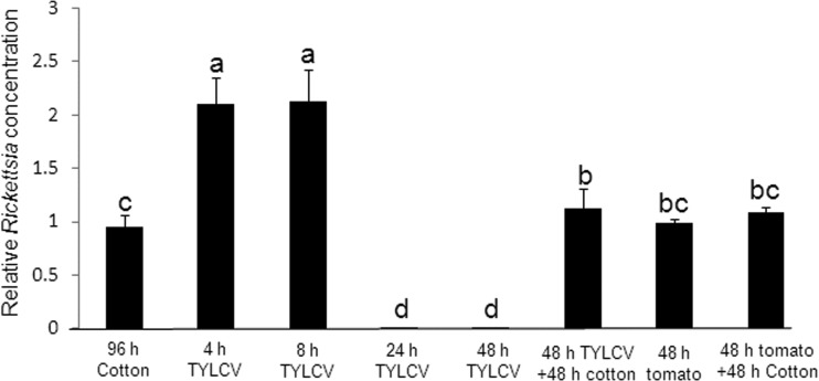 FIG 8